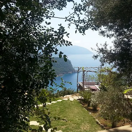 Feriepark Olive Garden Kabak 2*