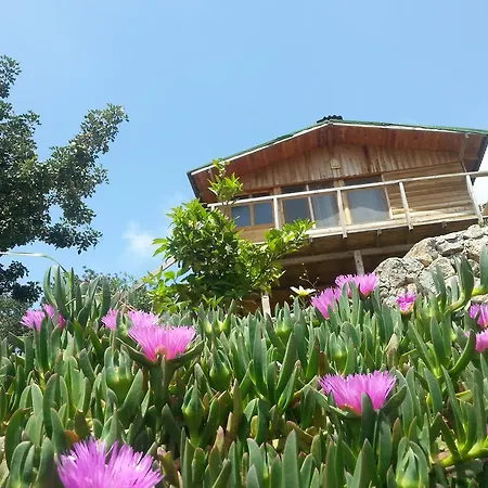 Olive Garden Kabak Feriepark 2*