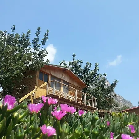 Feriepark Olive Garden Kabak Faralya