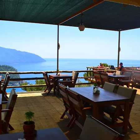 Olive Garden Kabak Faralya