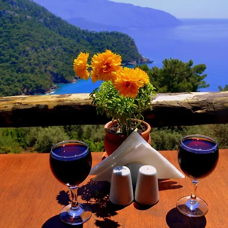 Olive Garden Kabak Faralya