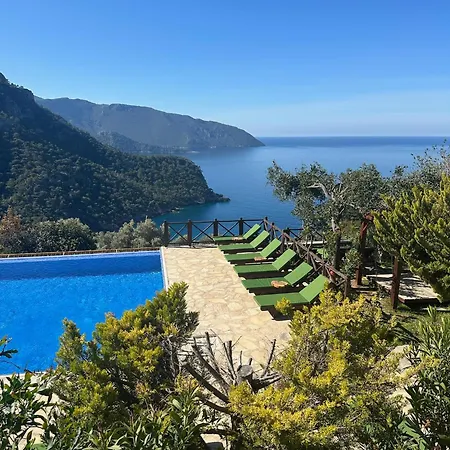 Olive Garden Kabak Village de vacances Faralya
