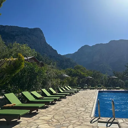 Olive Garden Kabak 2*