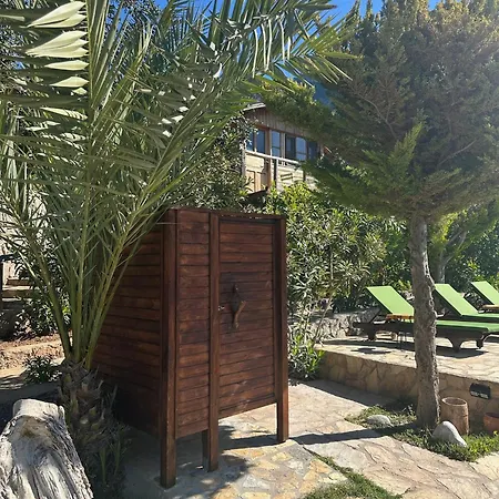 Olive Garden Kabak Faralya