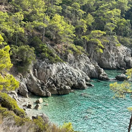 Village de vacances Olive Garden Kabak 2*