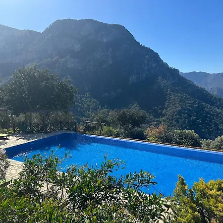 Olive Garden Kabak 2*