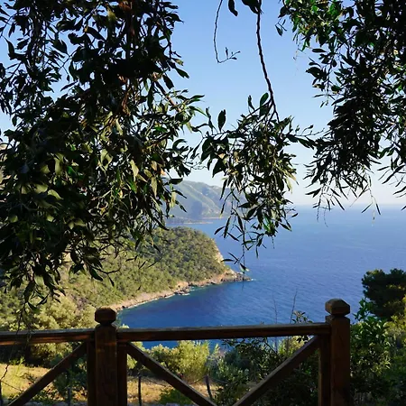 Olive Garden Kabak