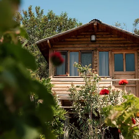 Olive Garden Kabak Village de vacances Faralya