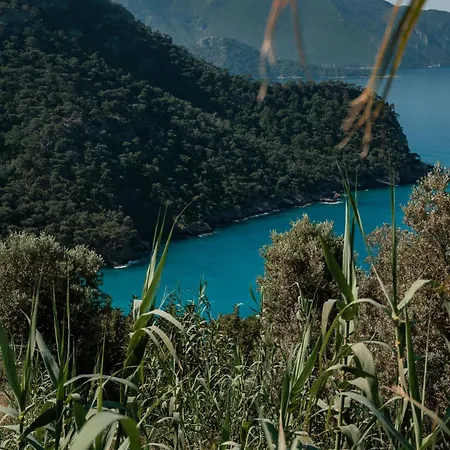 Village de vacances Olive Garden Kabak Faralya