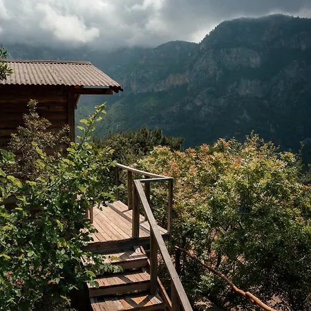 Olive Garden Kabak 2* Faralya