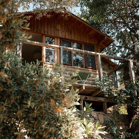 Village de vacances Olive Garden Kabak