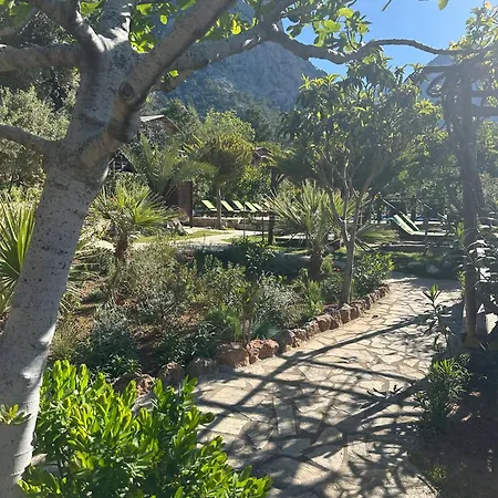 Olive Garden Kabak Village de vacances 2*