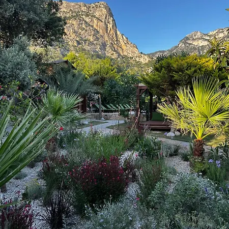 ホリデーパーク Olive Garden Kabak 2*