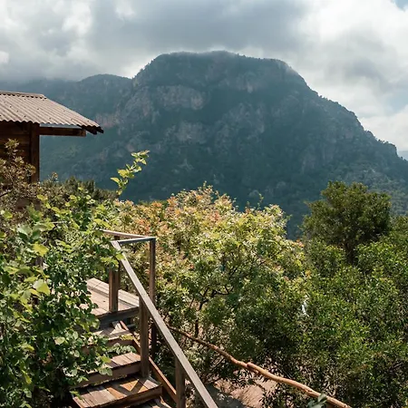 Olive Garden Kabak 2*