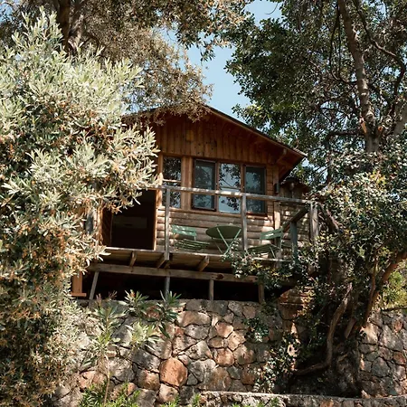 Olive Garden Kabak Village de vacances Faralya