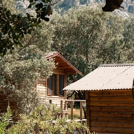Village de vacances Olive Garden Kabak Faralya