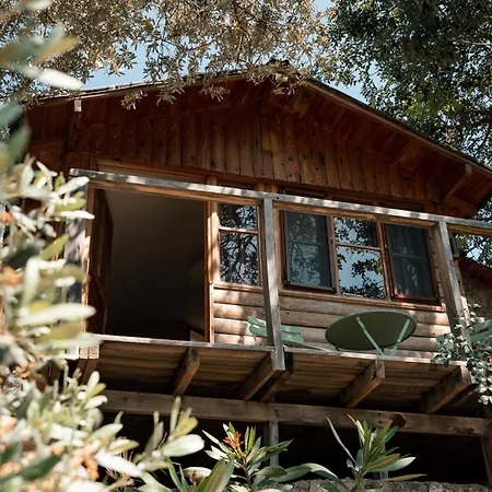 Village de vacances Olive Garden Kabak Faralya