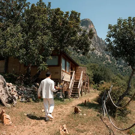 Olive Garden Kabak Faralya