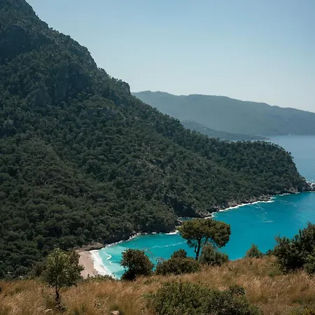 Village de vacances Olive Garden Kabak