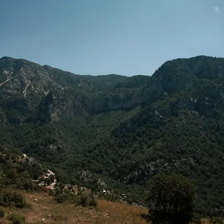 Olive Garden Kabak Village de vacances Faralya