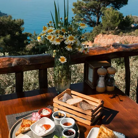 Πάρκο διακοπών Olive Garden Kabak