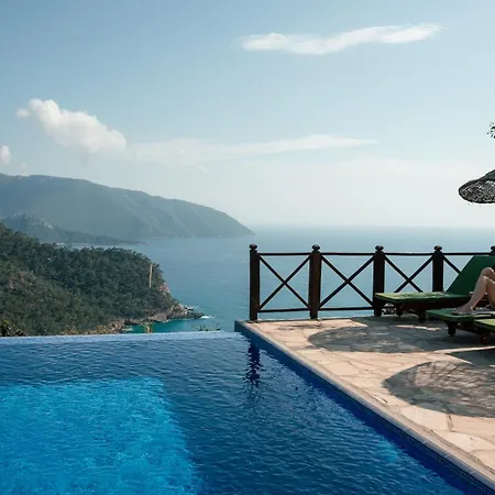 Olive Garden Kabak 2*