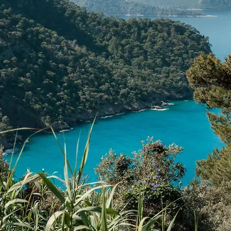 Olive Garden Kabak 2* Faralya