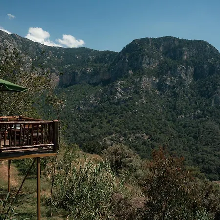 Olive Garden Kabak Faralya