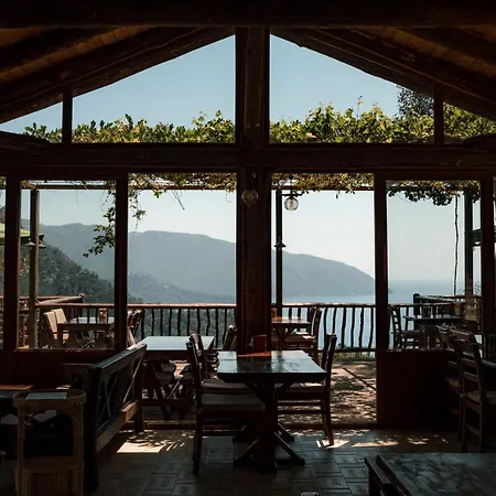 Olive Garden Kabak ファラリア