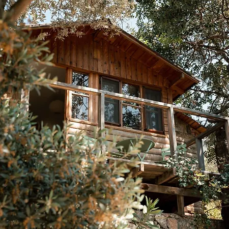 Olive Garden Kabak ホリデーパーク 2*