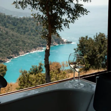 Olive Garden Kabak ファラリア