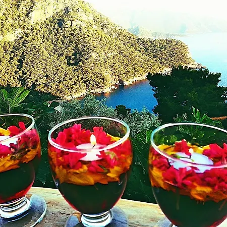 Feriepark Olive Garden Kabak 2*