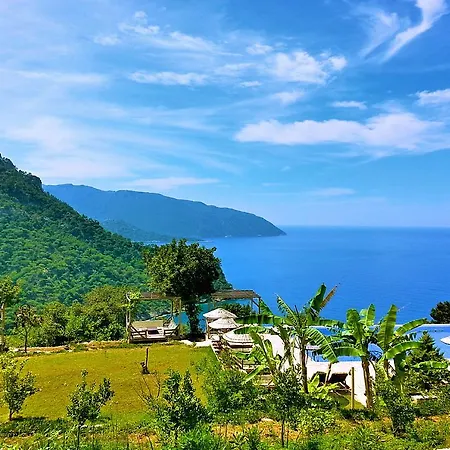 Feriepark Olive Garden Kabak