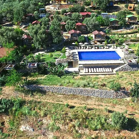 Olive Garden Kabak Faralya