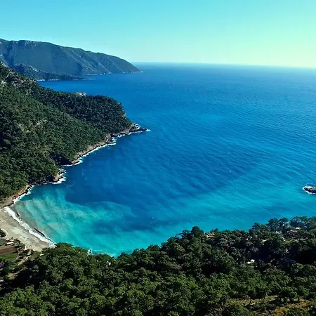 Olive Garden Kabak Faralya