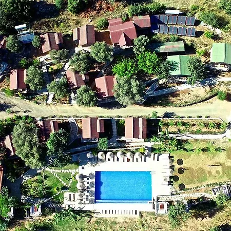 Olive Garden Kabak ファラリア