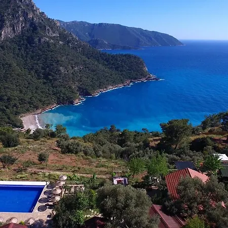 Olive Garden Kabak Faralya