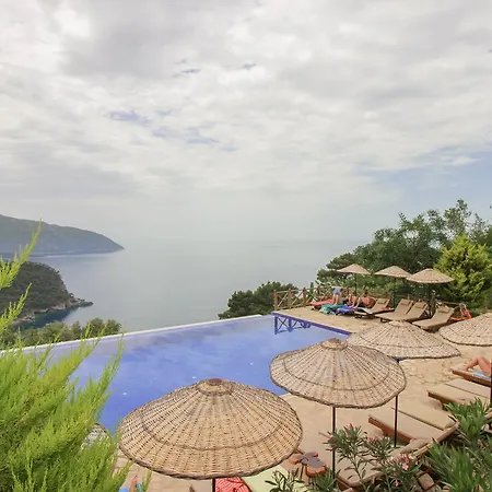 Olive Garden Kabak 2* Faralya