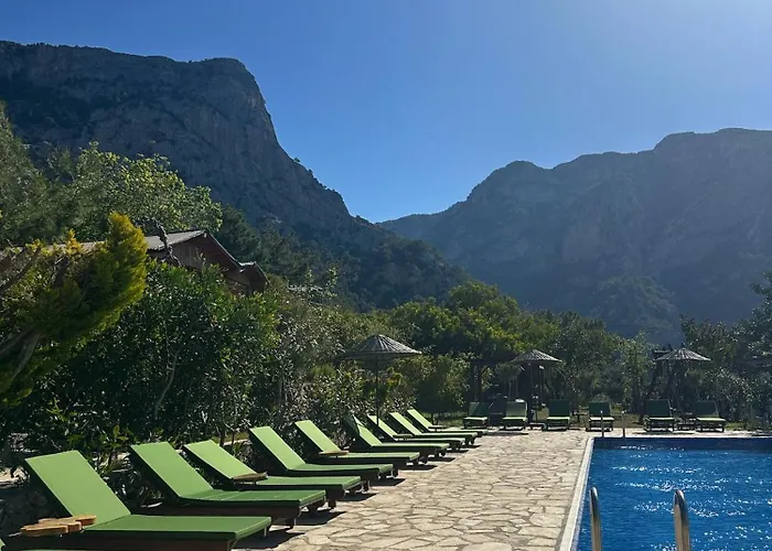 Olive Garden Kabak 2*