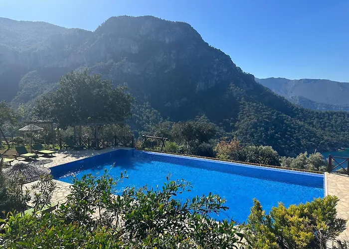 Olive Garden Kabak 2*