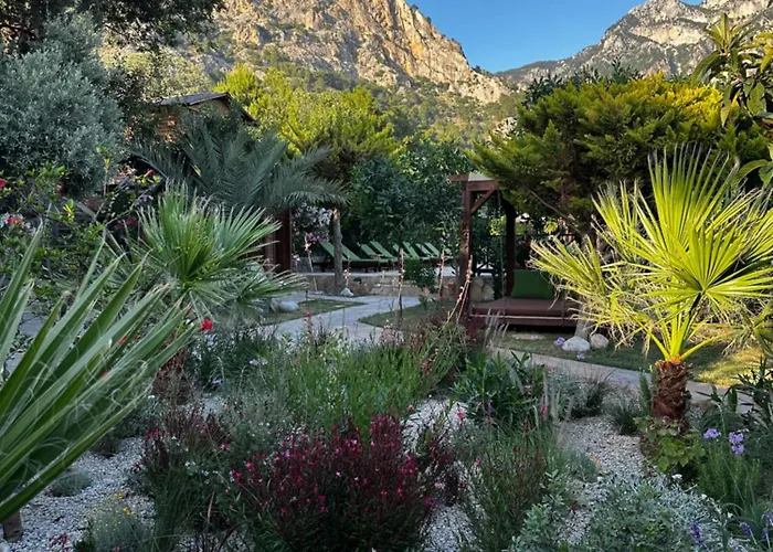 Üdülőpark Olive Garden Kabak 2*