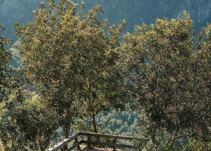 Olive Garden Kabak Üdülőpark Faralya