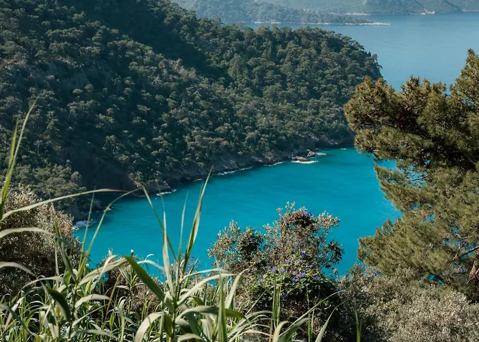 Olive Garden Kabak 2* Faralya