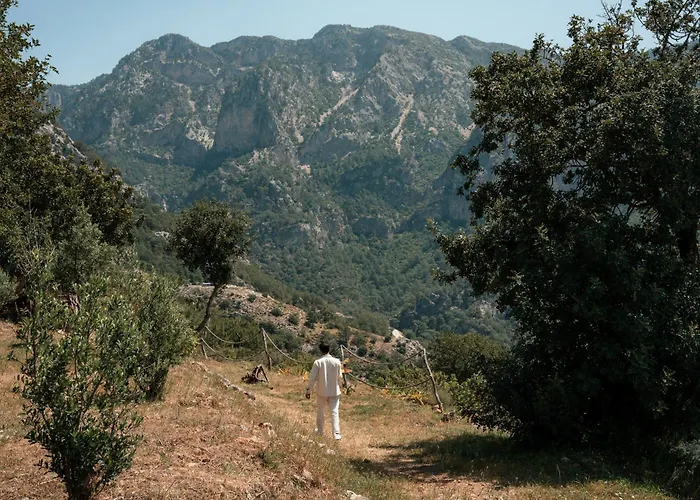 Olive Garden Kabak Üdülőpark