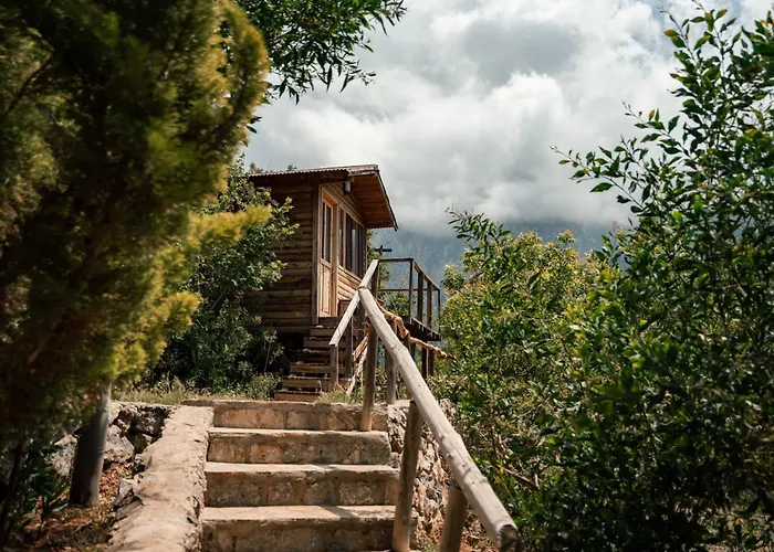 Üdülőpark Olive Garden Kabak 2*