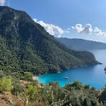 Πάρκο διακοπών Olive Garden Kabak