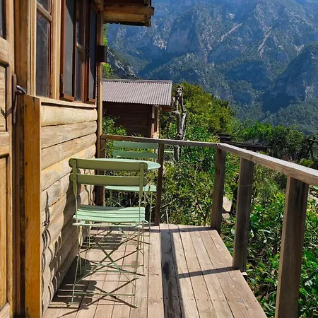 Olive Garden Kabak Holiday park Faralya