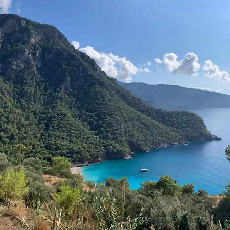 Parque de vacaciones Olive Garden Kabak