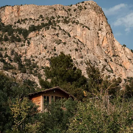 Olive Garden Kabak 2*