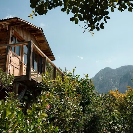 Olive Garden Kabak 2* Faralya